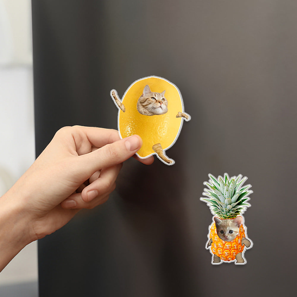 Custom Acrylic Fruit Cat Meme Keychain, Purr-fectly Fun Cat Meme Fridge Magnet, Fruit Cat Pin Badge, Gift for Cat Lover/Cat Parent