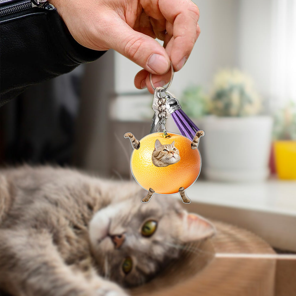 Custom Acrylic Fruit Cat Meme Keychain, Purr-fectly Fun Cat Meme Fridge Magnet, Fruit Cat Pin Badge, Gift for Cat Lover/Cat Parent