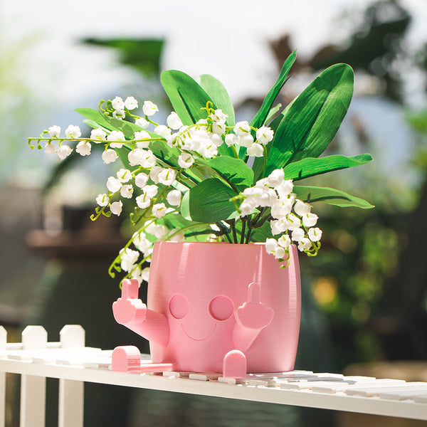 Middle Finger Happy Planter, Kawaii Planter, Planter with Face, Planter with Middle Finger, Succulent Planter, Indoor Planter